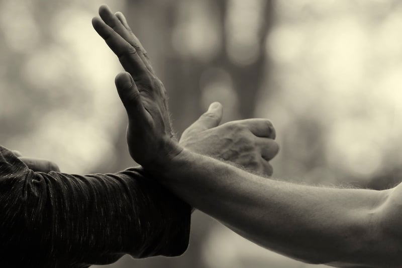 Chen Style Tai Chi Practice